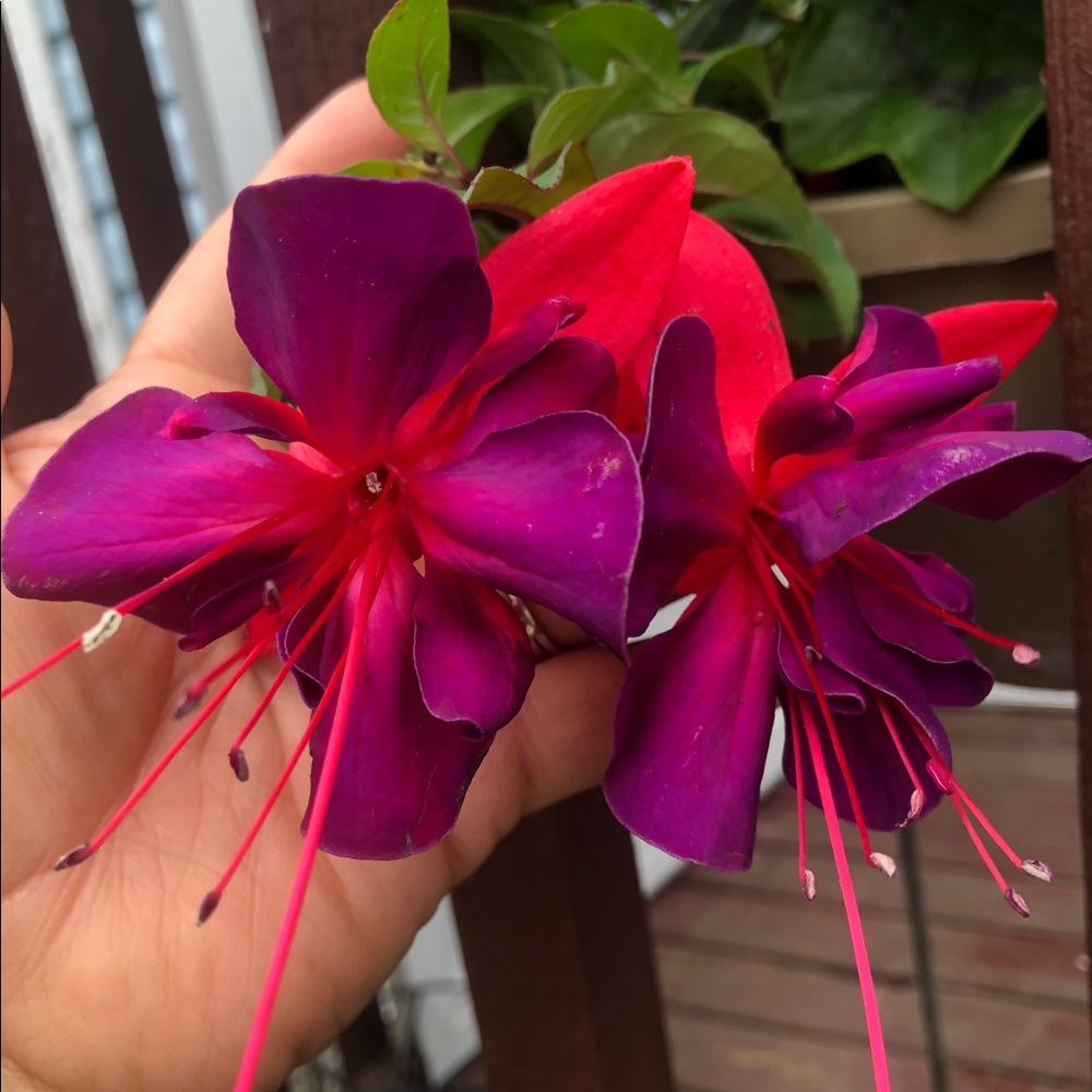 Life is beautiful ❣️